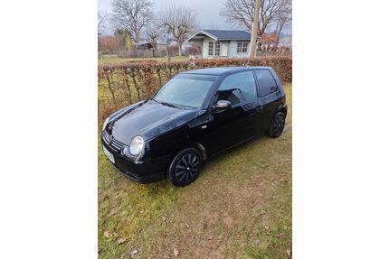 VW Lupo Gebrauchtwagen
