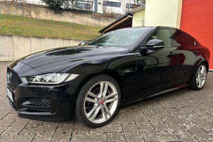 Jaguar XE Gebrauchtwagen