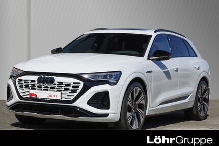 Audi Q8 e-tron Gebrauchtwagen