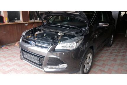 Ford Kuga Gebrauchtwagen