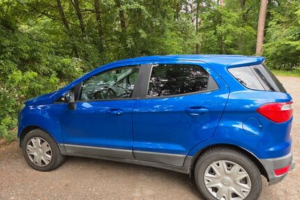 Ford EcoSport Gebrauchtwagen