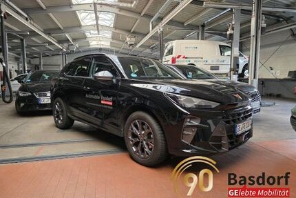 Cupra Terramar Gebrauchtwagen