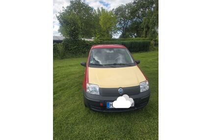 Fiat Panda Gebrauchtwagen
