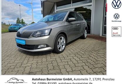Skoda Fabia Gebrauchtwagen