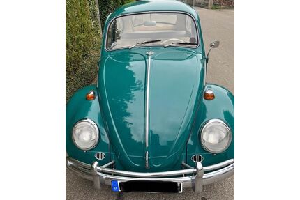VW Käfer Gebrauchtwagen