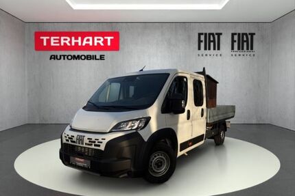 Fiat Ducato Gebrauchtwagen
