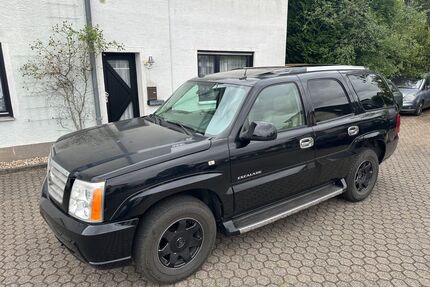 Cadillac Escalade Gebrauchtwagen