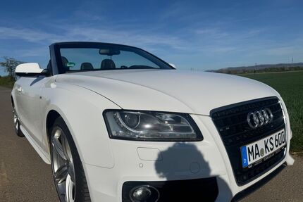 Audi A5 Gebrauchtwagen