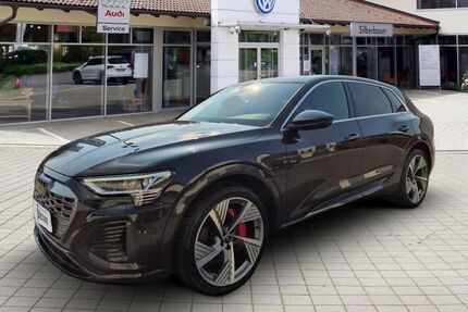 Audi Q8 e-tron Gebrauchtwagen