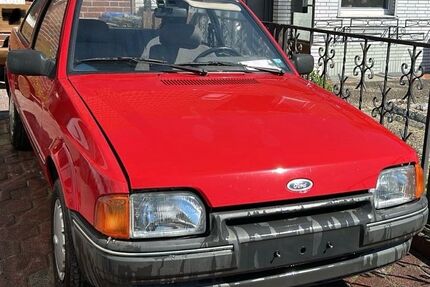 Ford Escort Gebrauchtwagen