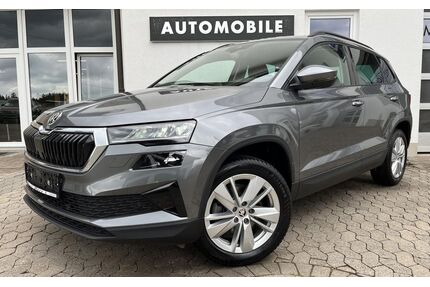 Skoda Karoq Gebrauchtwagen