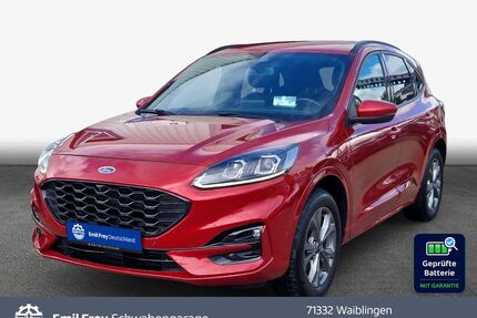 Ford Kuga Gebrauchtwagen