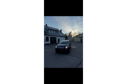 Fiat Punto Evo Gebrauchtwagen
