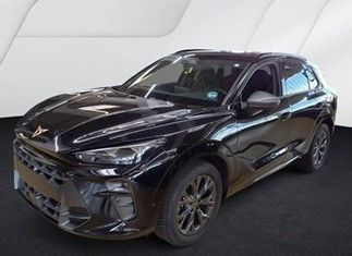 Cupra Terramar Gebrauchtwagen
