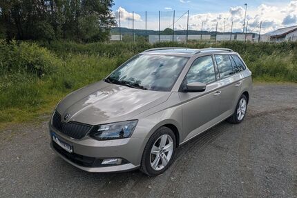 Skoda Fabia Gebrauchtwagen