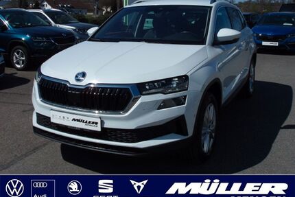Skoda Karoq Gebrauchtwagen