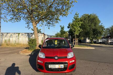 Fiat Panda Gebrauchtwagen