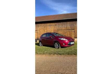 Ford Fiesta Gebrauchtwagen