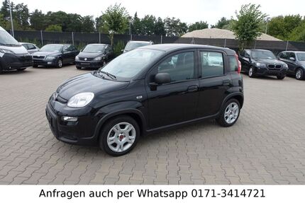 Fiat Panda Gebrauchtwagen