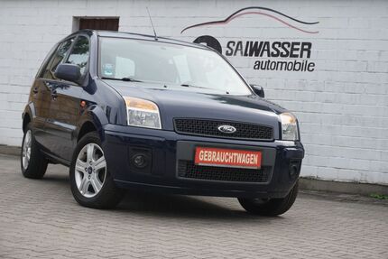Ford Fusion Gebrauchtwagen