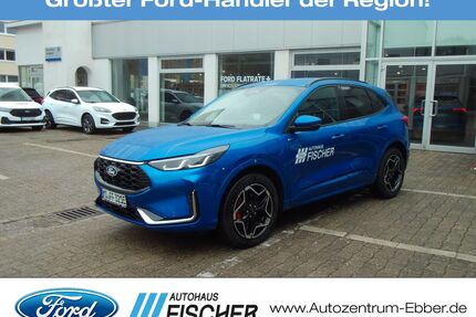Ford Kuga Gebrauchtwagen