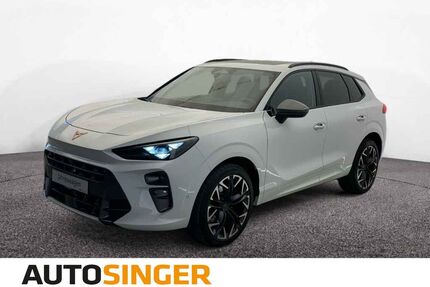 Cupra Terramar Gebrauchtwagen