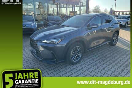 Lexus NX 350h Gebrauchtwagen