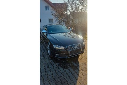 Audi S5 Gebrauchtwagen