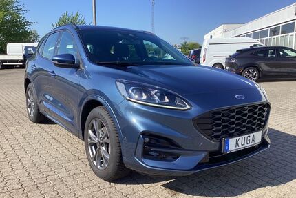 Ford Kuga Gebrauchtwagen
