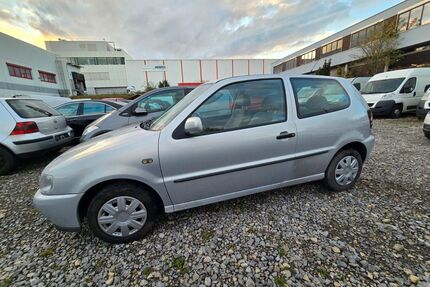 VW Polo Gebrauchtwagen