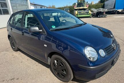 VW Polo Gebrauchtwagen