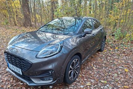 Ford Puma Gebrauchtwagen