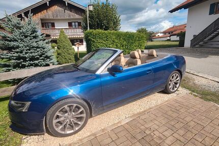 Audi A5 Gebrauchtwagen