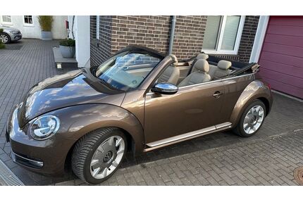 VW Beetle Gebrauchtwagen