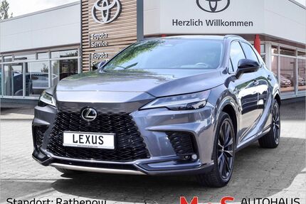Lexus RX 500 Gebrauchtwagen