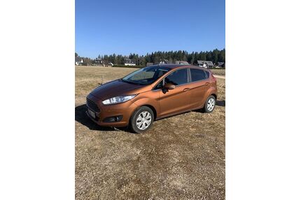 Ford Fiesta Gebrauchtwagen
