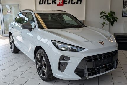 Cupra Terramar Gebrauchtwagen