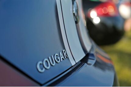 Ford Cougar Gebrauchtwagen