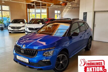 Skoda Kamiq Gebrauchtwagen