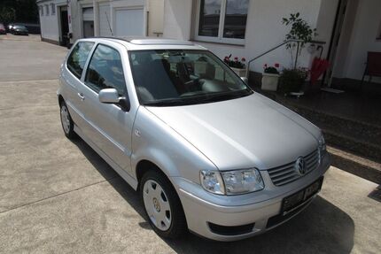 VW Polo Gebrauchtwagen