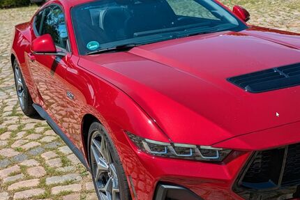 Ford Mustang Gebrauchtwagen