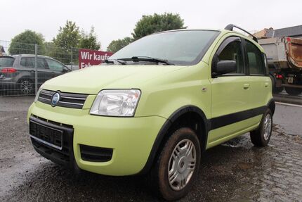 Fiat Panda Gebrauchtwagen
