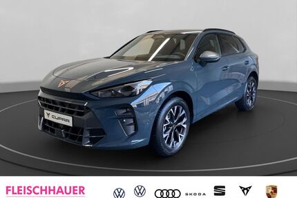 Cupra Terramar Gebrauchtwagen