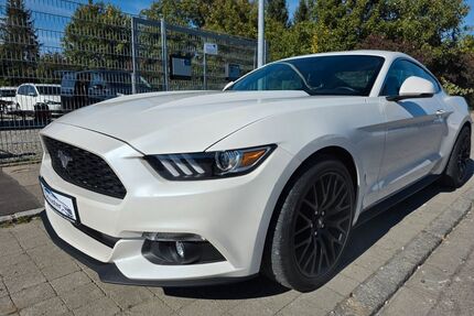 Ford Mustang Gebrauchtwagen