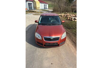 Skoda Fabia Gebrauchtwagen