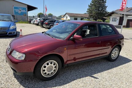 Audi A3 1.6i Attraction Automatik Klima PDC Gebrauchtwagen