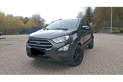 Ford EcoSport Gebrauchtwagen