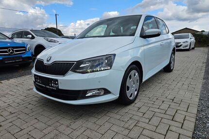 Skoda Fabia Gebrauchtwagen