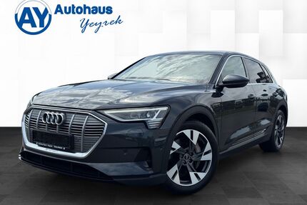 Audi e-tron Gebrauchtwagen