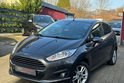 Ford Fiesta Gebrauchtwagen